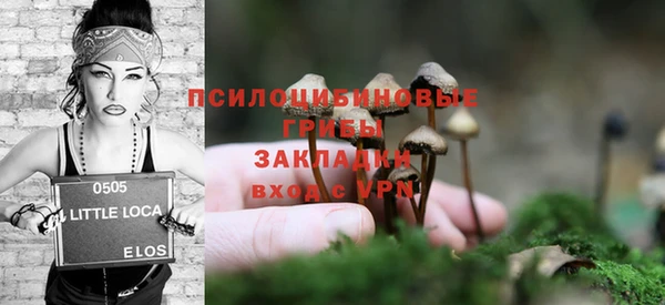 тгк Бородино