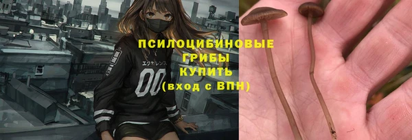 тгк Бородино