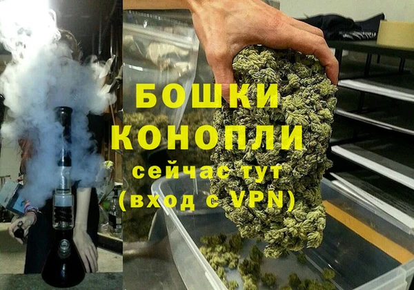 дживик Саяногорск