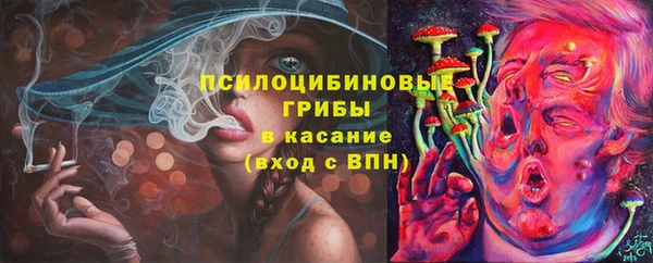 герыч Бронницы
