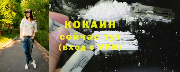 тгк Бородино